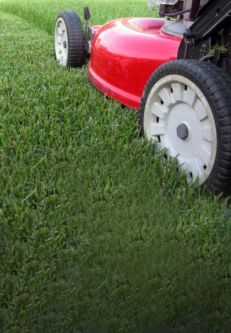 when-can-i-mow - Copy